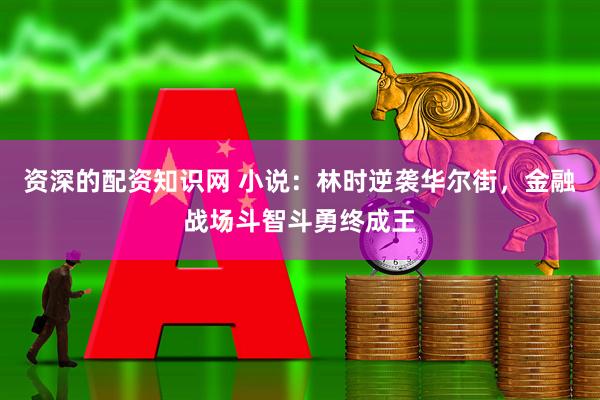资深的配资知识网 小说：林时逆袭华尔街，金融战场斗智斗勇终成王